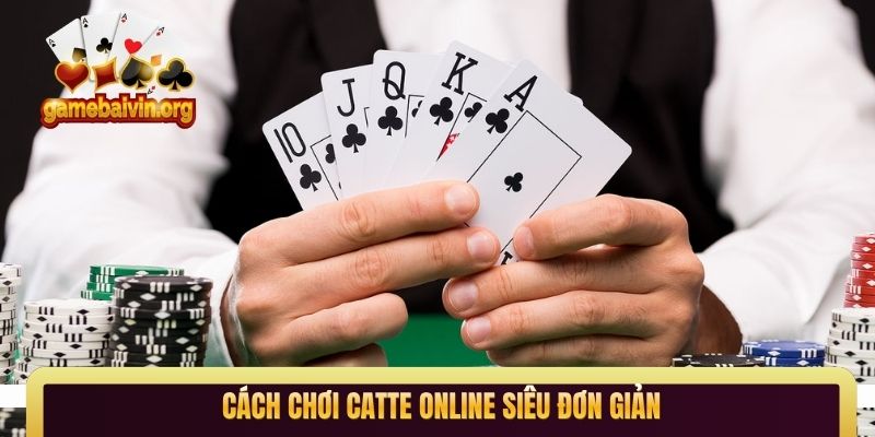 Cách chơi catte online siêu đơn giản