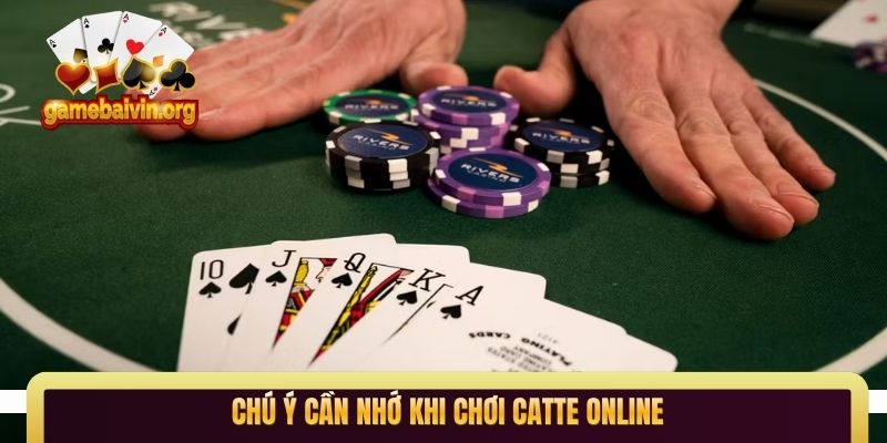 Chú ý cần nhớ khi chơi catte online