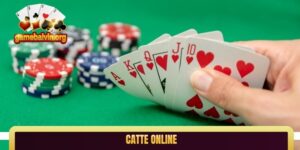 catte online