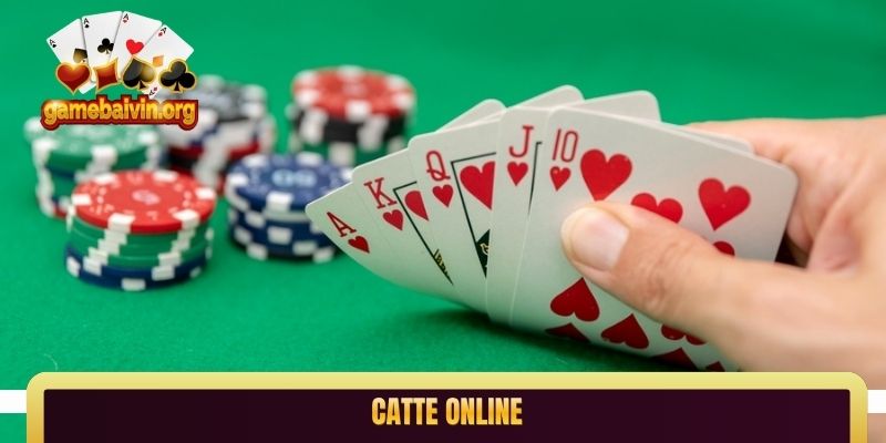 catte online